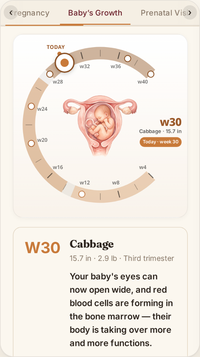 Usha Care Guide app showing a pregnancy week-by-week wheel at week 30, with a growth note for the baby.